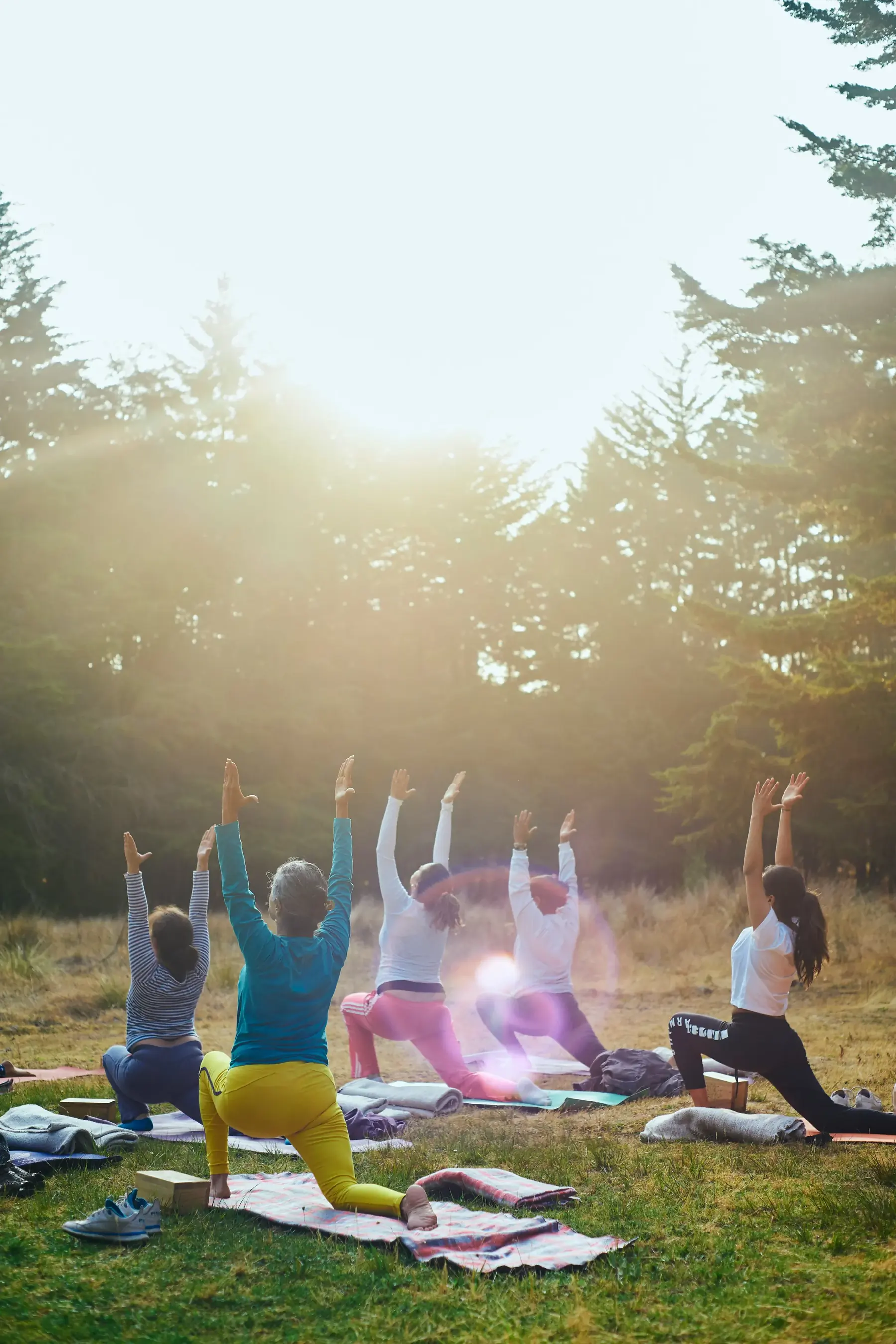 Yoga en la naturaleza Mundo Consciente
